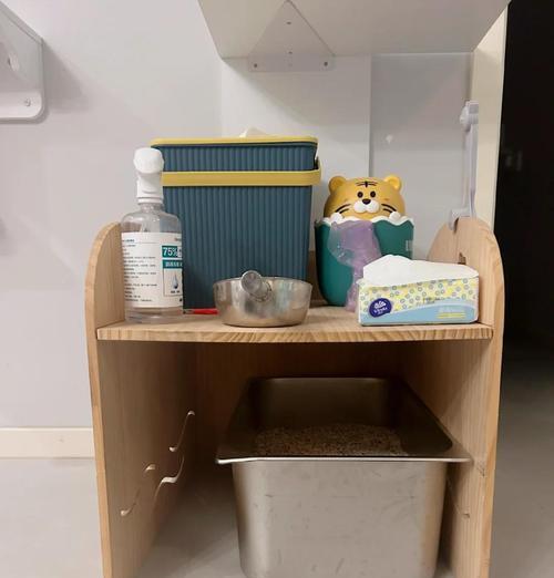 猫咪看我清理猫砂（探索猫咪眼中的主人角色，提高与猫咪的亲密度）