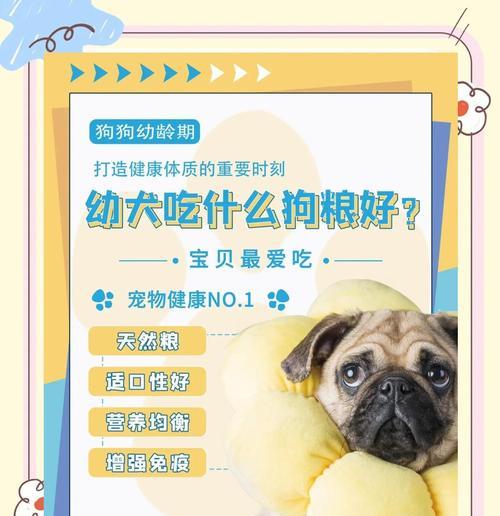 幼犬饲养指南——健康饮食计划（如何为你的宠物犬制定最佳的营养计划？）