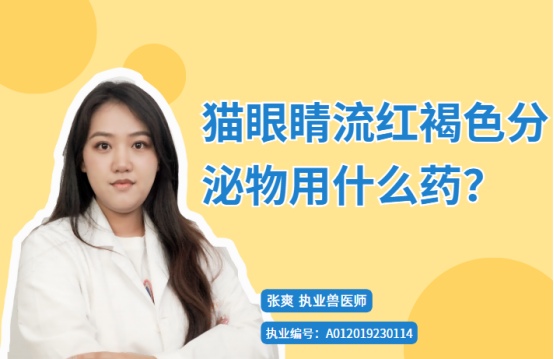 【宠医科普】猫眼睛流红褐色分泌物用什么药？