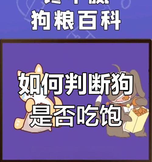 探究影响2个月大狗狗食量的因素（食物种类和身体状况是关键）