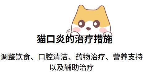 猫咪口炎治疗用药全攻略,轻松应对不慌张!