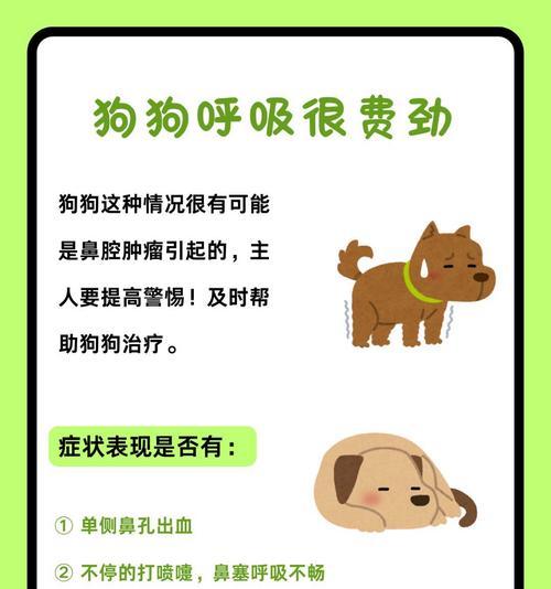 狗狗得了犬瘟咳喘怎么办？（如何预防和治疗犬瘟咳喘）
