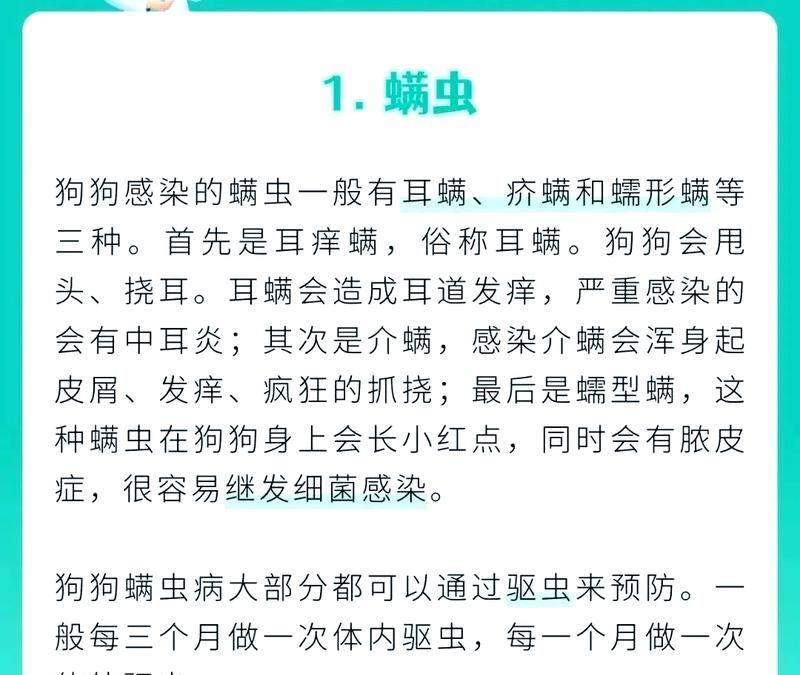 皮肤病狗狗是否适合驱虫？（探讨驱虫对有皮肤病狗狗的影响）