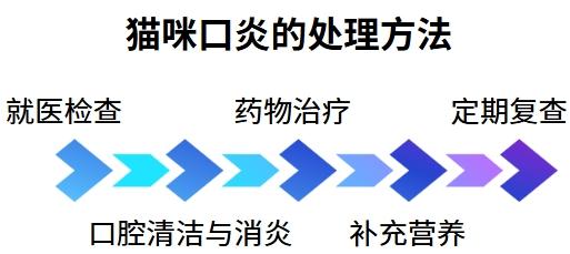 猫咪口炎如何科学用药？