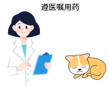 猫咪口炎自愈?别犯傻
