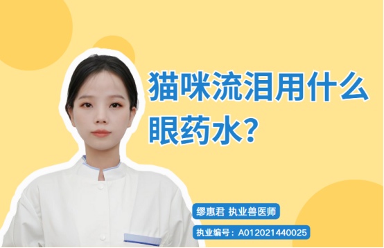 猫咪流泪用什么眼药水？