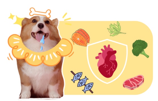 狗狗吃什么对心脏有好处?