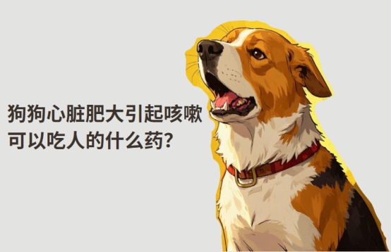 狗狗心脏肥大咳嗽可以吃人用药吗?