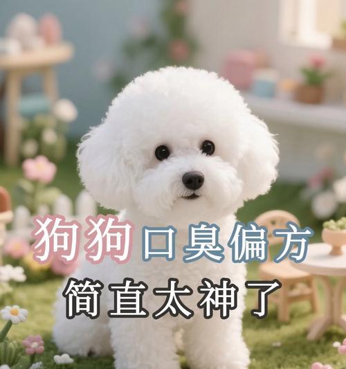如何缓解宠物狗狗口臭问题？（掌握这些小技巧，让狗狗口气清新舒适）