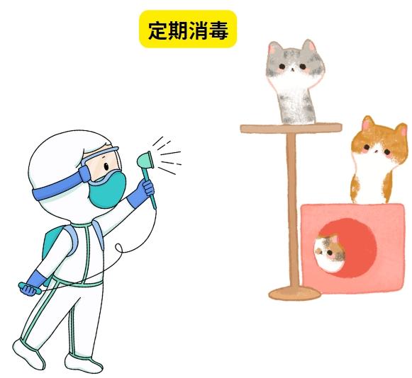 猫杯状病毒治疗，科学步骤