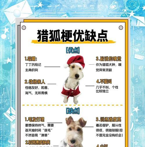 以平毛猎狐梗为宠物的饲养指南（从选择、饲料到训练，了解平毛猎狐梗的一切）