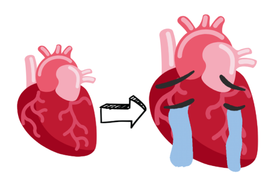 狗狗心脏肥大怎么办？