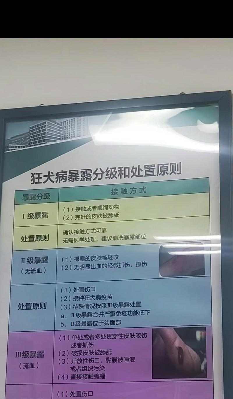 狗狗打完狂犬疫苗多久可以洗澡？（疫苗接种时间与洗澡注意事项）