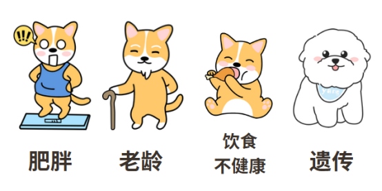 狗狗心脏肥大喘气急促