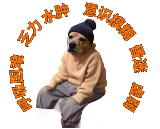 狗狗心衰最后的状态