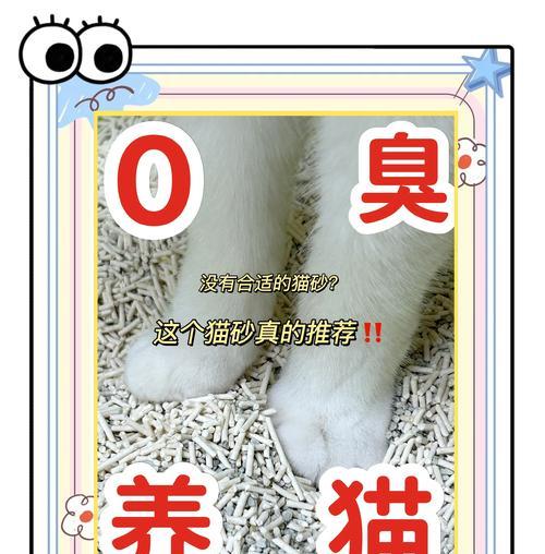 猫砂使用寿命揭秘（探讨猫砂的耐用性与使用频率，帮助猫主人更好地管理猫砂消耗）