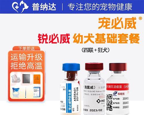 狗狗打疫苗需要注意的事项（疫苗接种时间表和保护幼犬健康的关键）