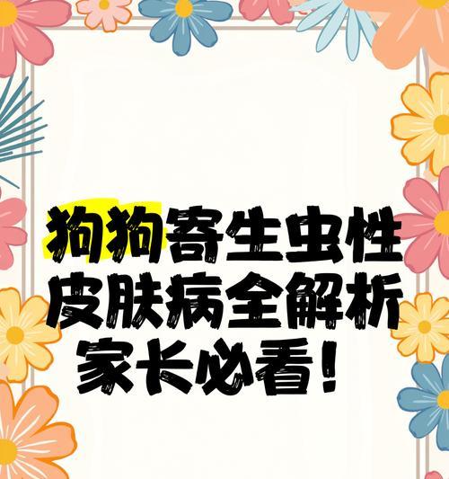 揭秘狗狗皮肤虫——症状、防治与护理（狗狗皮肤虫的种类及常见症状，如何预防和治疗，正确的皮肤护理）