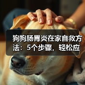 狗狗肠胃炎在家自救方法：5个步骤，轻松应对！（图4）