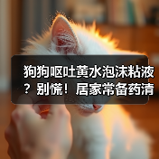狗狗呕吐黄水泡沫粘液?别慌!居家常备药清单来了(图3) 狗狗呕吐黄水泡沫粘液?别慌!居家常备药清单来了(图3)