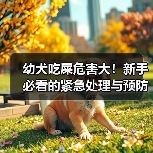 幼犬吃屎危害大!新手必看的紧急处理与预防策略(图2) 幼犬吃屎危害大!新手必看的紧急处理与预防策略(图2)