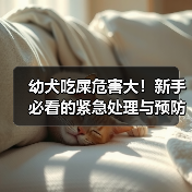 幼犬吃屎危害大!新手必看的紧急处理与预防策略(图4) 幼犬吃屎危害大!新手必看的紧急处理与预防策略(图4)