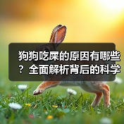 狗狗吃屎的原因有哪些?全面解析背后的科学真相(图3) 狗狗吃屎的原因有哪些?全面解析背后的科学真相(图3)