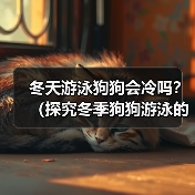 冬天游泳狗狗会冷吗?(探究冬季狗狗游泳的注意事项)(图4) 冬天游泳狗狗会冷吗?(探究冬季狗狗游泳的注意事项)(图4)