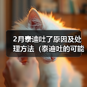 2月泰迪吐了原因及处理方法(泰迪吐的可能原因和预防措施)(图3) 2月泰迪吐了原因及处理方法(泰迪吐的可能原因和预防措施)(图3)