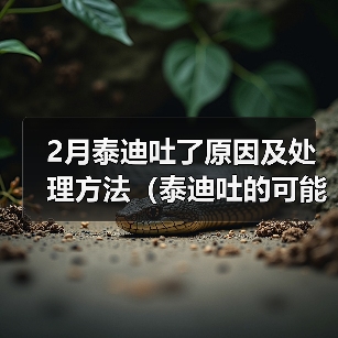 2月泰迪吐了原因及处理方法（泰迪吐的可能原因和预防措施）