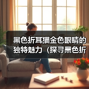 黑色折耳猫金色眼睛的独特魅力(探寻黑色折耳猫金色眼睛的美丽秘密)(图2) 黑色折耳猫金色眼睛的独特魅力(探寻黑色折耳猫金色眼睛的美丽秘密)(图2)