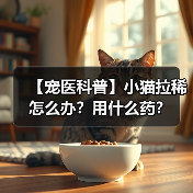 【宠医科普】小猫拉稀怎么办?用什么药?(图3) 【宠医科普】小猫拉稀怎么办?用什么药?(图3)