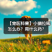 【宠医科普】小猫拉稀怎么办?用什么药?(图4) 【宠医科普】小猫拉稀怎么办?用什么药?(图4)