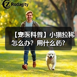 【宠医科普】小猫拉稀怎么办?用什么药?(图1) 【宠医科普】小猫拉稀怎么办?用什么药?(图1)