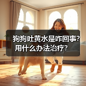 狗狗吐黄水是咋回事?用什么办法治疗?(图2) 狗狗吐黄水是咋回事?用什么办法治疗?(图2)