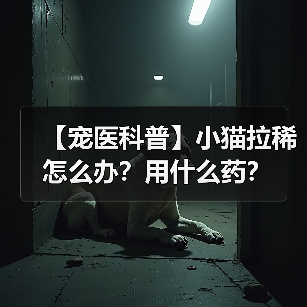 【宠医科普】小猫拉稀怎么办?用什么药?(图2) 【宠医科普】小猫拉稀怎么办?用什么药?(图2)