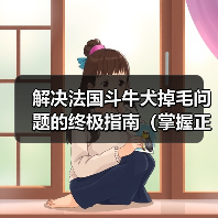 解决法国斗牛犬掉毛问题的终极指南(掌握正确护理方法,让您的犬儒重拾健康光泽)(图2) 解决法国斗牛犬掉毛问题的终极指南(掌握正确护理方法,让您的犬儒重拾健康光泽)(图2)