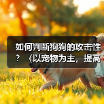 如何判断狗狗的攻击性?(以宠物为主,提高主人的安全意识)(图4) 如何判断狗狗的攻击性?(以宠物为主,提高主人的安全意识)(图4)