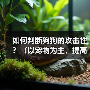 如何判断狗狗的攻击性？（以宠物为主，提高主人的安全意识）