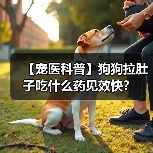 【宠医科普】狗狗拉肚子吃什么药见效快?(图1) 【宠医科普】狗狗拉肚子吃什么药见效快?(图1)