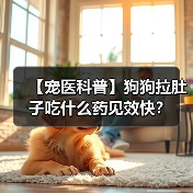 【宠医科普】狗狗拉肚子吃什么药见效快?(图4) 【宠医科普】狗狗拉肚子吃什么药见效快?(图4)