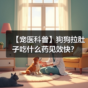 【宠医科普】狗狗拉肚子吃什么药见效快?(图2) 【宠医科普】狗狗拉肚子吃什么药见效快?(图2)