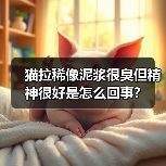 猫拉稀像泥浆很臭但精神很好是怎么回事？（图2）