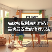 猫咪拉稀别再乱用药！最快最安全的治疗方法在这里！（图3）