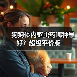 狗狗体内驱虫药哪种最好？超级平价版（图1）