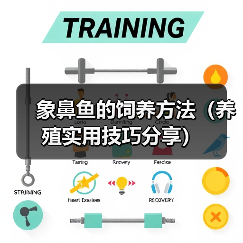 象鼻鱼的饲养方法(养殖实用技巧分享)(图3) 象鼻鱼的饲养方法(养殖实用技巧分享)(图3)