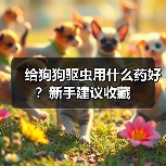 给狗狗驱虫用什么药好?新手建议收藏(图2) 给狗狗驱虫用什么药好?新手建议收藏(图2)