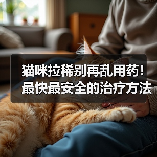 猫咪拉稀别再乱用药！最快最安全的治疗方法在这里！（图1）