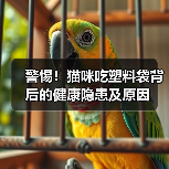 警惕！猫咪吃塑料袋背后的健康隐患及原因（图2）