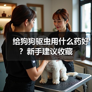给狗狗驱虫用什么药好?新手建议收藏(图1) 给狗狗驱虫用什么药好?新手建议收藏(图1)
